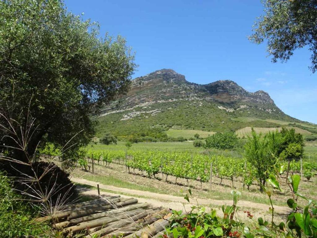 Jardin Et 2 Chambres Centre St Florent Saint-Florent  Exteriör bild